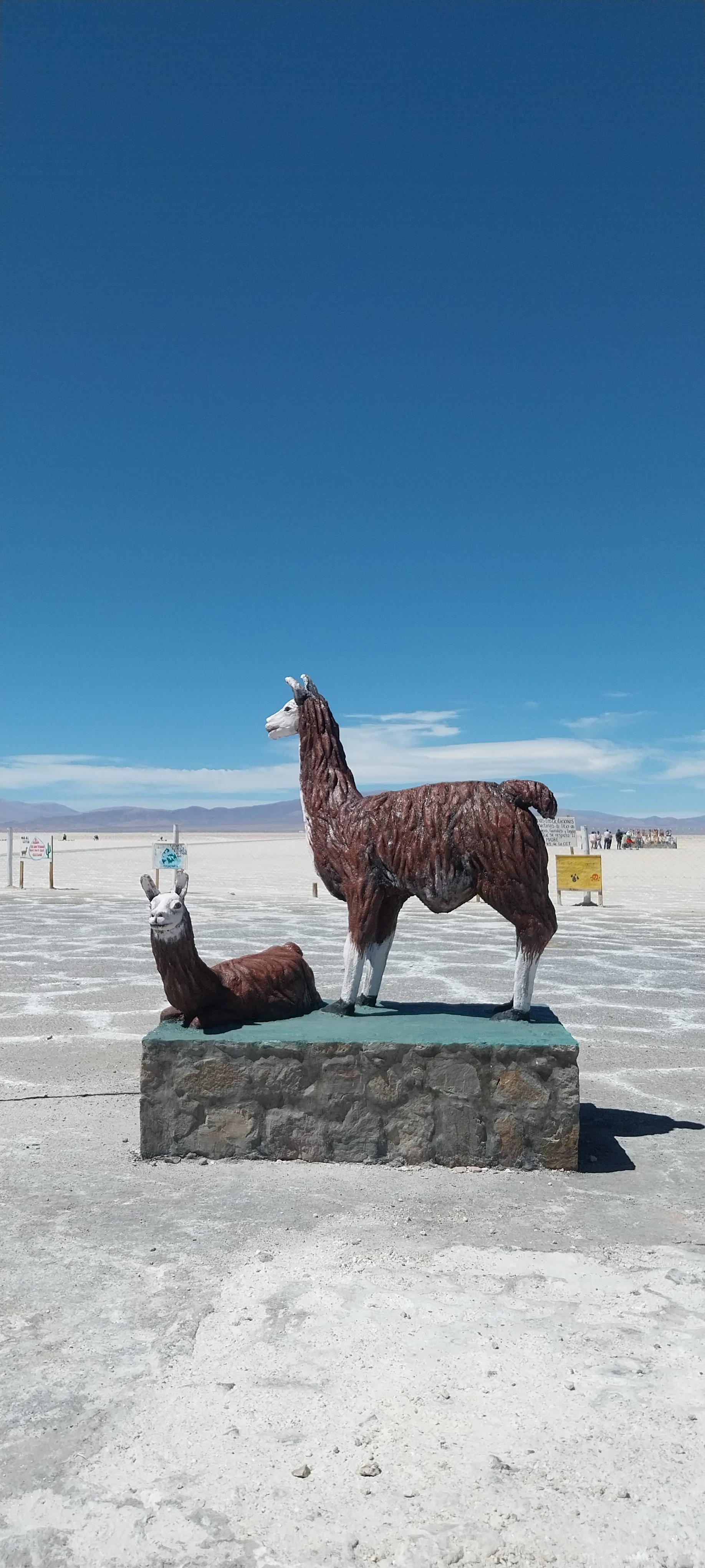 Excursión Salinas Grandes